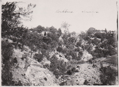 Rockbeare Ivanhoe 1910, Rockbeare Park Conservation Group, 1910