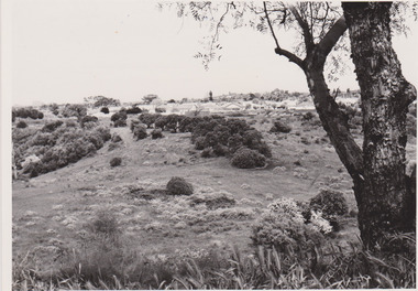 Mulberry Spur 1974, Rockbeare Park Conservation Group et al, 1974