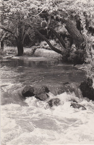 Rapids in Darebin Creek, Rockbeare Park Conservation Group et al, 1980-1989