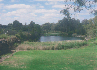Swamp in Darebin Parklands, Darebin Parklands Association, 1980-2000