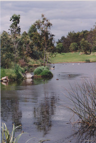Wetlands, Darebin Parklands, Laurie Course, 1985-1995