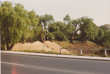 Arbour Street 17th April 1987, Darebin Parklands Association, 1987