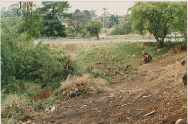 Arbour Street May 1987, Darebin Parklands Association, 1987