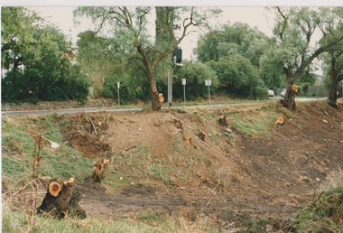 Arbour Street May 1987, Darebin Parklands Association, 1987