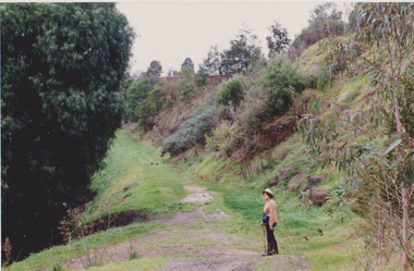 Darebin Creek near Green Street 1991, Sue Course, 1991