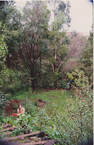 Back of Green Street June 1991, Sue Course, 1991