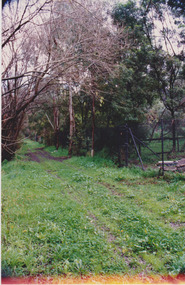Back of Green Street June 1991, Sue Course, 1991