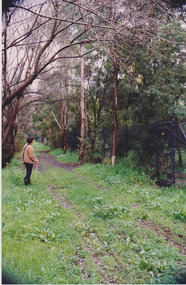 Back of Green Street June 1991, Sue Course, 1991