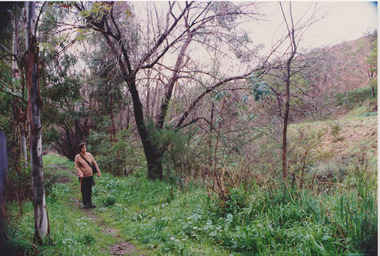 Back of Green Street June 1991, Sue Course, 1991