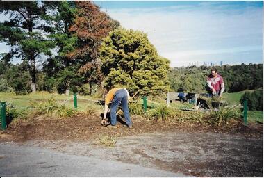 Working bee Wynstay Cres. May 2000, 2000