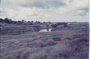 Wetlands near BBQ area. 1982, Darebin Parklands Association, 1982