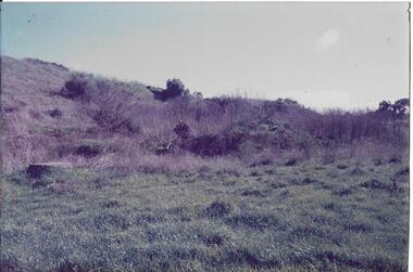 Darebin Parklands, Darebin Parklands Association, 1982