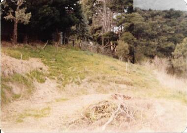 Darebin Parklands c1982, Darebin Parklands Association, 1980 - 1983