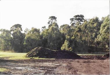 (Re)making wetlands in Rockbeare Park, Darebin Parklands Association, 1985 - 1995