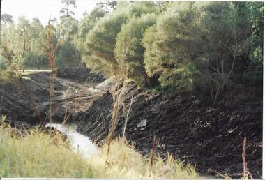 (Re)making wetlands in Rockbeare Park, Darebin Parklands Association, 1985 - 1995