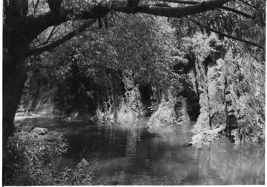 Darebin Creek, Darebin Parklands Association, 1974 - 1985