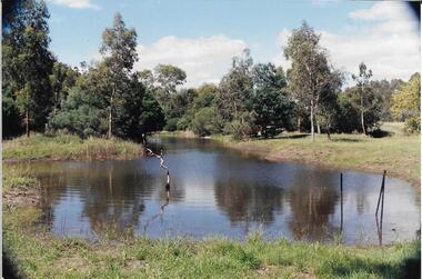 Wetlands, Darebin Parklands Association, 1994