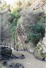 Below Wynstay Cres, Darebin Parklands Association, 1994 - 2000