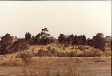 Darebin Parklands c.1973, Darebin Parklands Association, 1973