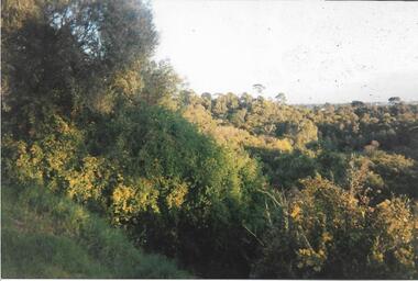 Trees on the horizon, Darebin Parklands Association, 1990 - 1999
