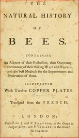 Publication, e-book, The natural history of bees: containing an account of their production, their oeconomy, the manner of their making wax and honey (Bazin, G. A.), London, 1744
