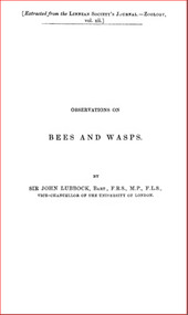 Publication, e-book, Observations on bees and wasps (Lubbock, J.), London, 1905