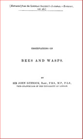 Publication, e-book, Observations on bees and wasps (Lubbock, J.), London, 1905, 1905