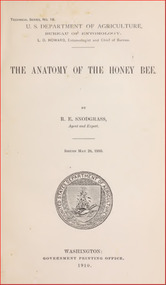 Publication, e-book, The anatomy of the honey bee (Snodgrass, R. E.), Washington, 1910