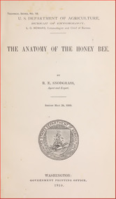 Publication, e-book, The anatomy of the honey bee (Snodgrass, R. E.), Washington, 1910, 1910