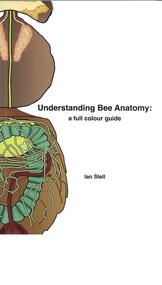 Publication, Understanding bee anatomy: a full colour guide. (Stell, Ian). np, 2012
