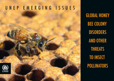 Publication, UNEP emerging issues: global honey bee colony disorders and other threats to insect pollinators. (United Nations Environment Program). Nairobi, 2010