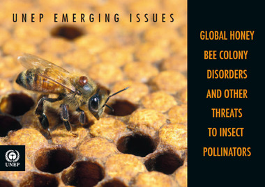Publication, UNEP emerging issues: global honey bee colony disorders and other threats to insect pollinators. (United Nations Environment Program). Nairobi, 2010, 2010