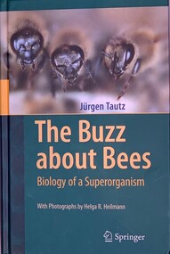 Publication, The Buzz About Bees - Biology of a Superorganism (Jurgen Tautz) 2009, Translated by David C. Sandeman, Photographs by Helga R Heilmann, 2009