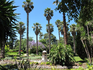Williamstown Botanic Gardens- Hobsons Bay City Council