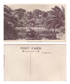 Postcard - Williamstown Botanic Gardens, 1900-1920