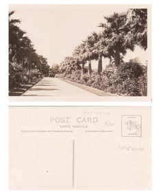 Postcard - Williamstown Botanic Gardens