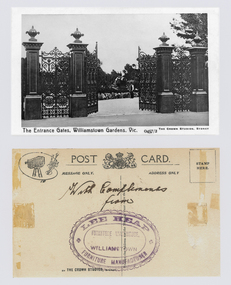 Postcard - Postcard – Williamstown Botanic Gardens, The Crown Studios, Sydney, c1900-1910