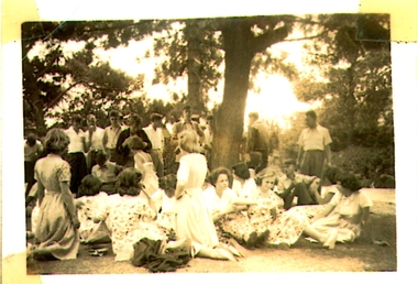 Photograph - Williamston Botanic Gardens, 1952