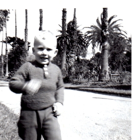 Photograph - Williamstown Botanic Gardens - Aidrian White, 1961/2