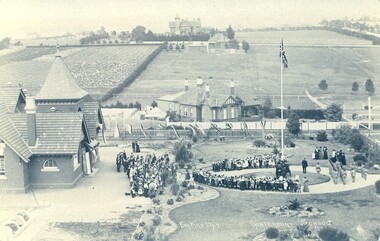 Photograph