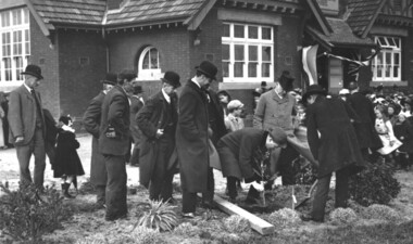 Photograph, Tree planting photograph