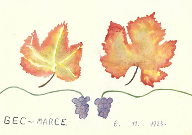 Water colour drawing, Marcela Bole-Gec watercolour drawing of autumn leaves, 1926, 1926