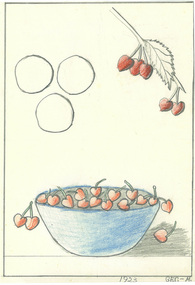 drawing, Marcela Bole - drawing cherries 1923, 1923