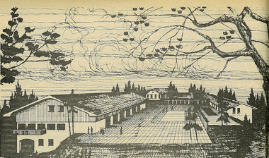 Preliminary sketch, Building sketch of Slovenian Association Melbourne, 1973