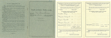 School Certificate, Marcela Bole School Certificate 1925