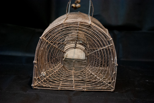 Rat trap rear view