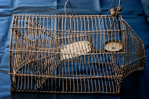 Rat trap side view