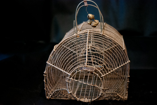 Rat trap front view