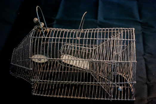 Rat trap side view