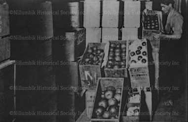 Photograph - Black & white photograph, Cases of fruit at Diamond Creek Cool Store